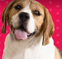 Synergy Professional Accounting Solutions - Mackay Accountants