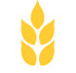Gibson  Co - Mackay Accountants