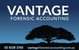 Vantage Forensic Accounting - thumb 0