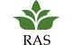 Rapid Accounting Solutions - thumb 1