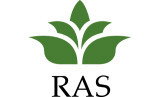 Rapid Accounting Solutions - Mackay Accountants 1