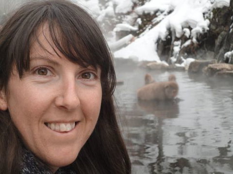 Mountain View Bookkeeping - Mackay Accountants 0