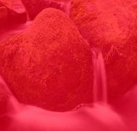 RedFrog Bookkeeping - Mackay Accountants