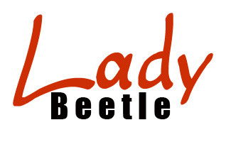 Lady Beetle Business Solutions - Mackay Accountants 0