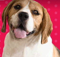 Synergy Professional Accounting Solutions - Mackay Accountants