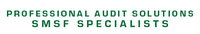 Professional Audit Solutions