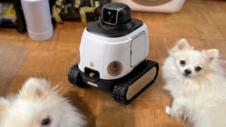 AI robot may stop your dog from barking while you're gone Mackay Accountants