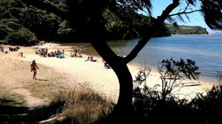 Deadly mystery unfolds as canoeists are found unresponsive after midnight trip Mackay Accountants