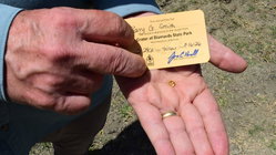 Grandfather finds hidden treasure in plain sight as park officials 'dumbfounded' by discovery Mackay Accountants