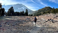 Mount Shasta climber recounts harrowing 500-foot slide, overnight crawl to safety: report Mackay Accountants