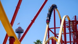Popular amusement park bans guest for life after roller coaster stunt viral video Mackay Accountants